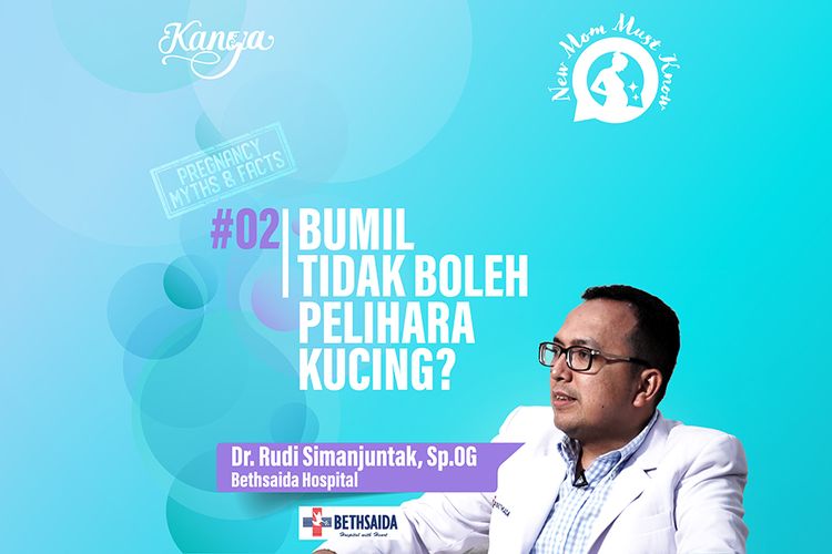 Bumil Pelihara Kucing Bisa Kena Tokso? Ini Penjelasan Dokter Kandungan