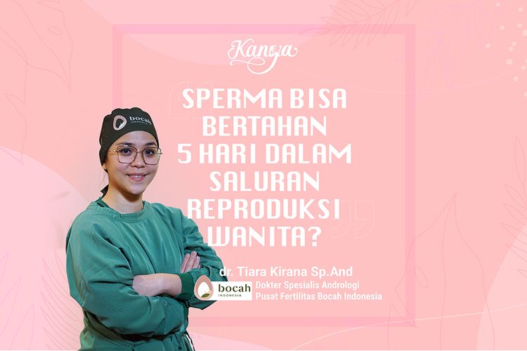 Kata Dokter Sperma Bisa Bertahan Berapa Lama di Saluran